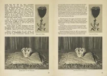 Freemasons, Agitators, Jews by Hans Tancred (1938) - Translated [24].webp