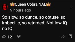 Screenshot_20250623_225247_YouTube.jpg