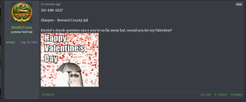 LOLOLOLOL (1).png
