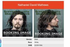 wolfetonebooking1.png
