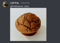 lidl1.png