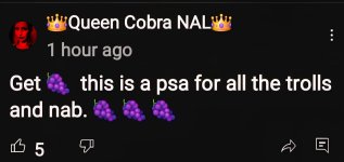 Screenshot_20250630_225144_YouTube.jpg