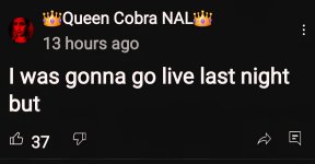 Screenshot_20250629_044607_YouTube.jpg