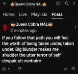 Screenshot_20250625_025745_YouTube.jpg