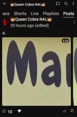 Screenshot_20250701_205837_YouTube.jpg