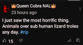 Screenshot_20250704_194543_YouTube.jpg