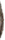 1000003557.gif