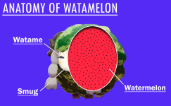1755665650331.png