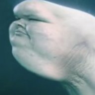 Baby Beluga
