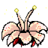 Lotus Flower