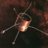 Pioneer10