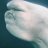 Baby Beluga