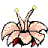 Lotus Flower