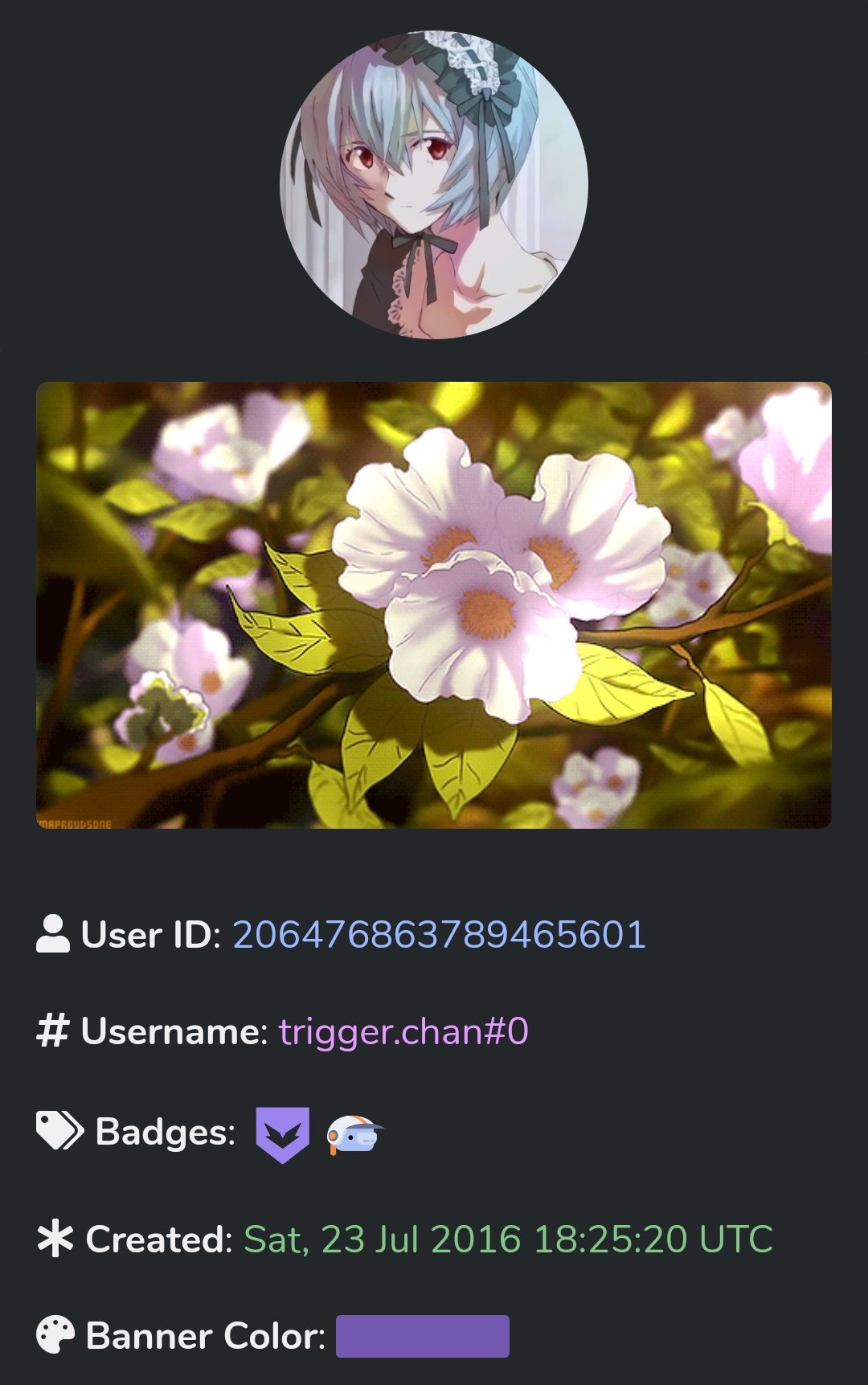 ibb.co