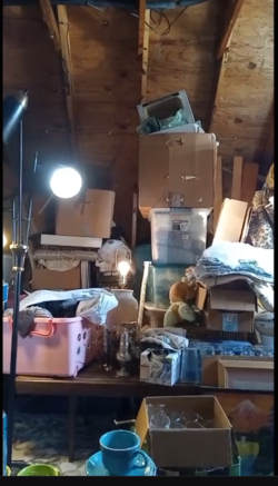 attic-hoard3.png