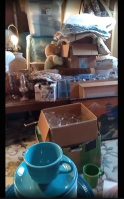 attic-hoard1.png