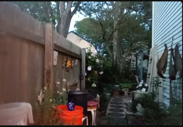 backyard2.png
