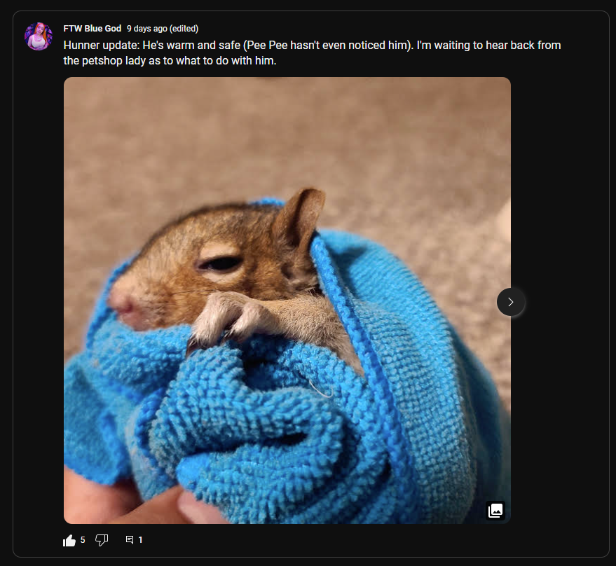 2023-10-05 09_27_07-the baby squirrel post.png